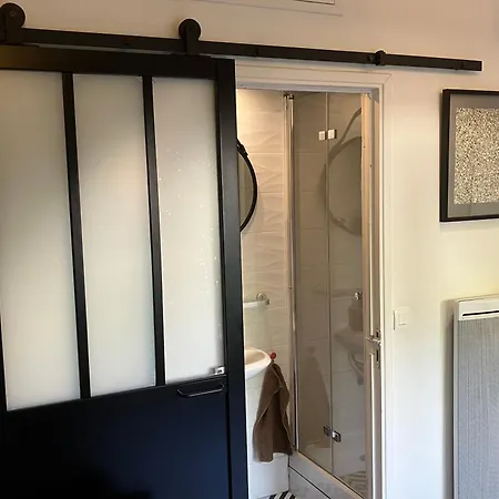 Le Merle Rose Apartment Toulouse